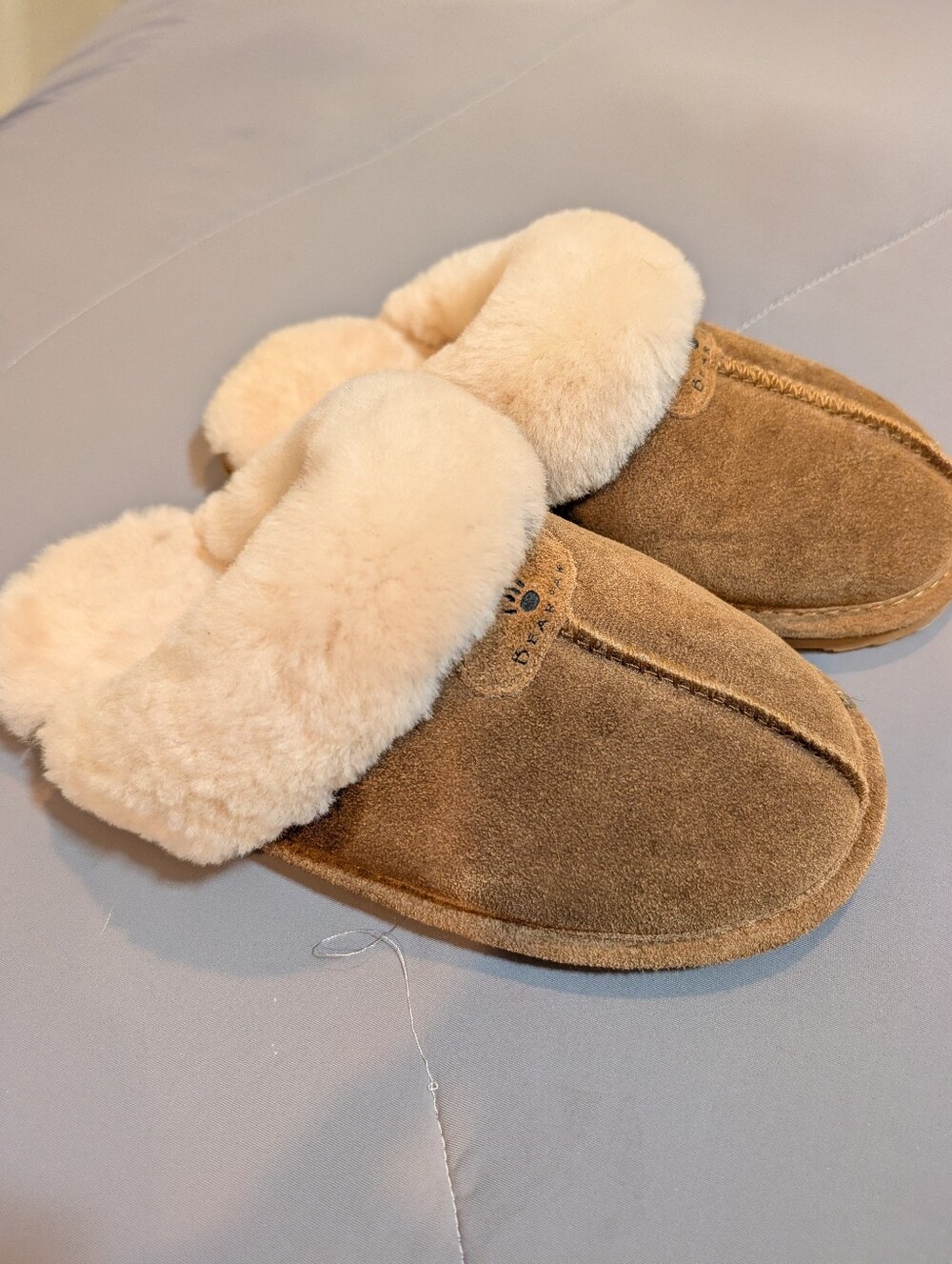 Bearpaw Women's Loki Mule Slippers in Latte, Size 8